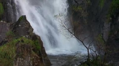 San Paio Şelaleleri ya da Entrecruces Frveda Carballo, Galiçya İspanya. Sabit Çekim