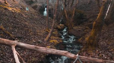 Frveda, Carballo, Galiçya 'da San Paio Şelaleleri' nin akan akıntıları. Doli Vuruşu