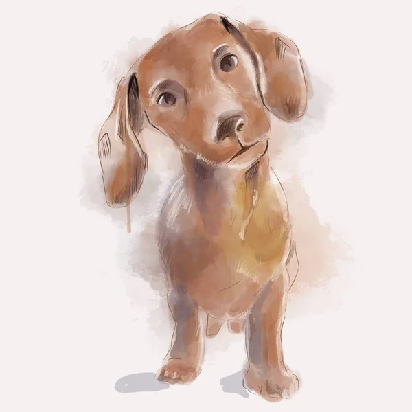 Illustrazione Acquerello Cucciolo Jack Russell Terrier Una Stampa Immagine Logo — Foto Stock