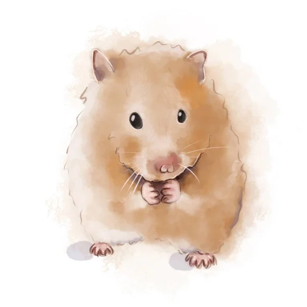 Aquarelillustratie Van Een Hamster Die Zaad Eet Een Witte Achtergrond — Stockfoto