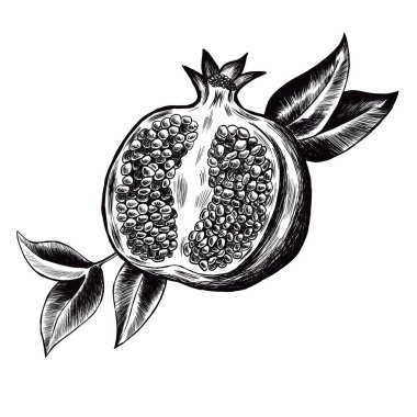 Bir duvar resmi, poster, logo, baskı, avatar, hediye için bir nar grafiksel çizimi.