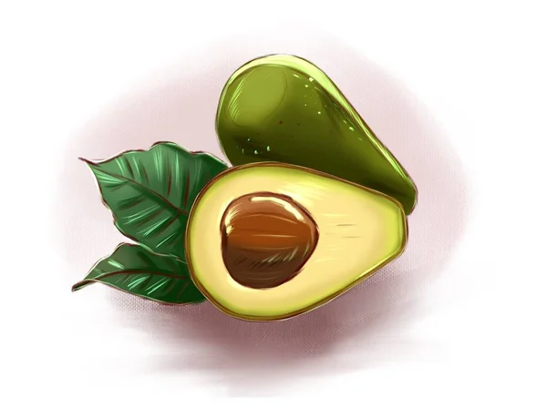 Illustration Einer Saftigen Avocado Mit Blättern Auf Weißem Hintergrund Für — Stockfoto