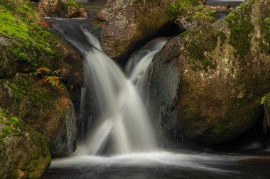 Jizerske dağlarındaki Cerna Desna deresi Sonbahar renklerinde taze sabah