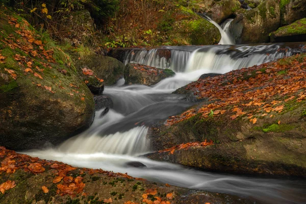 Cerna Desna Creek Jizerske Mountains Autumn Color Fresh Morning — Stock Photo, Image