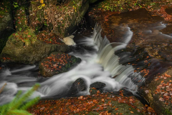 Cerna Desna Creek Στο Βουνό Jizerske Φθινόπωρο Χρώμα Φρέσκο Πρωινό — Φωτογραφία Αρχείου