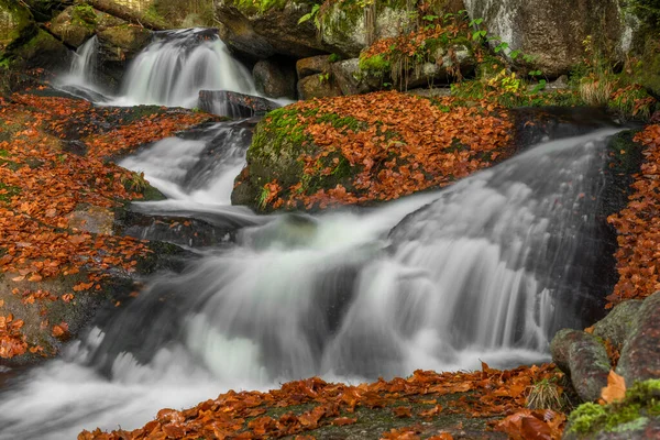 Cerna Desna Creek Jizerske Mountains Autumn Color Fresh Morning — Stock Photo, Image