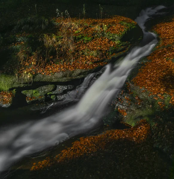Cerna Desna Bach Isergebirge Herbst Farbe Frischen Morgen — Stockfoto