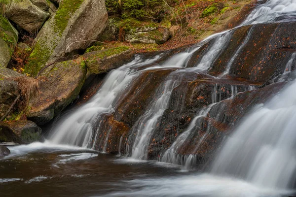 Jizerske dağlarındaki Cerna Desna deresi Sonbahar renklerinde taze sabah