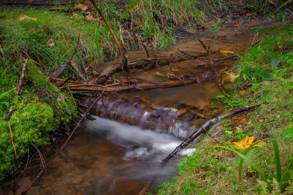 Luzicke Dağlarında Şelaleli Hamersky Deresi Sonbahar Yağmurlu Günlerinde — Stok fotoğraf