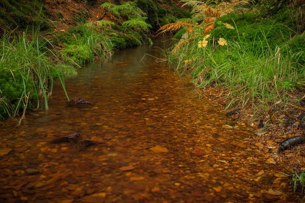 Hamersky Ruisseau Avec Cascades Dans Les Montagnes Luzicke Couleur Automne — Photo