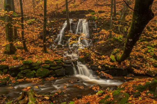 Rousinovsky Bach Mit Wasserfällen Luzicke Berge Farbe Herbst Regentag — Stockfoto