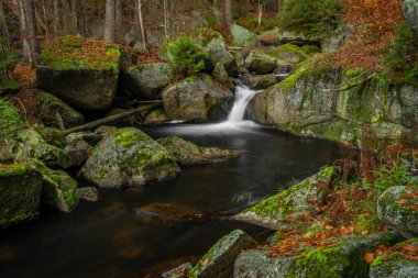 Jizerske dağlarındaki Cerna Desna deresi Sonbahar renklerinde taze sabah
