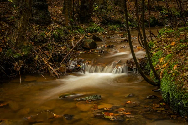 Hamersky Bach Mit Wasserfällen Luzicke Berge Farbe Herbst Regnerischen Tag — Stockfoto