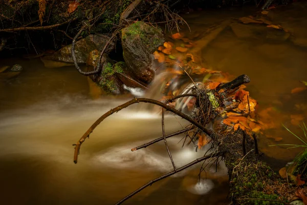 Хамерский Ручей Водопадами Горах Лузике Цвете Осеннего Дождливого Дня — стоковое фото