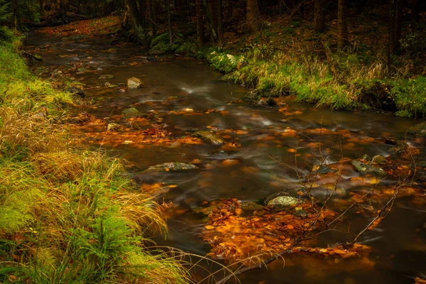 Hamersky Ruisseau Avec Cascades Dans Les Montagnes Luzicke Couleur Automne — Photo