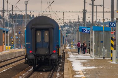 Krizanov İstasyonu Yolcu treni ile Kışın erken saatlerinde bulutlu bir günde