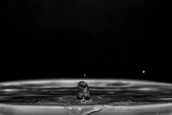 Clean water drops into clean water in white cup with black dark background