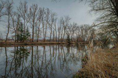 Sobeslav kasabası ve taze Luznice nehri kış bulutlu güneşli sabahta