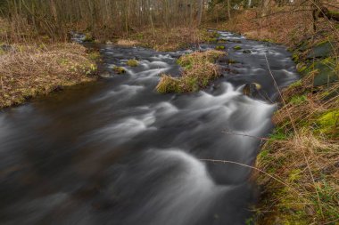 Jeseniky dağlarındaki Bila Opava nehri ilkbaharda taze bir sabah