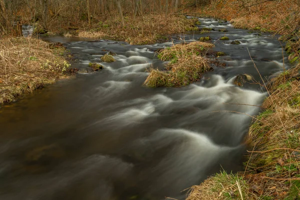 Bila Opava Fluss Jeseniky Gebirge Frühling Frischen Morgen — Stockfoto