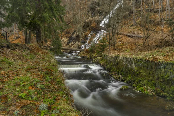 Řeka Bila Opava Jeseníkách Jaře Svěží Ráno — Stock fotografie
