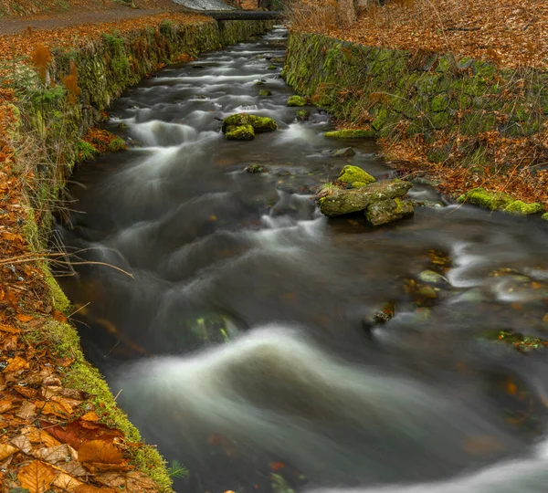 Rzeka Bila Opava Jesionikach Wiosną Świeży Poranek — Zdjęcie stockowe