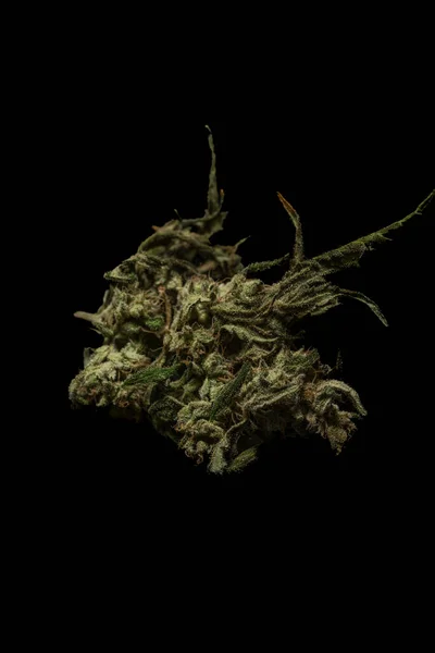 Ξηρά Ώριμη Μαριχουάνα Σκούρο Πράσινο Λουλούδι Μαύρο Φόντο — Φωτογραφία Αρχείου