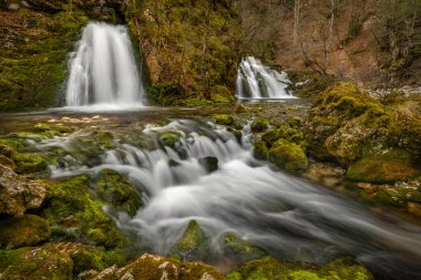 Bohinj Bistrica şelalesi ve bahar güzel bahar ormanlarında taze Slovenya 'da.