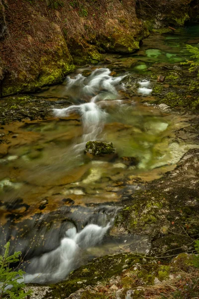 Suma Vodopád Řece Radovně Jarní Barvě Svěží Sever Slovinsko — Stock fotografie