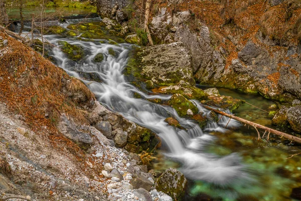 Bohinj Bistrica Wasserfall Und Quelle Nördlichen Frischen Slowenien Schönen Frühlingswald — Stockfoto