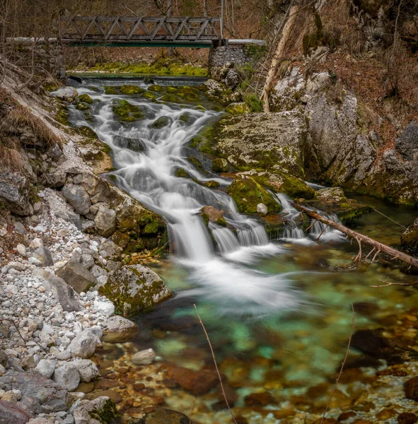 Bohinj Bistrica瀑布和春天在斯洛文尼亚北部新鲜宜人的春天森林里 — 图库照片