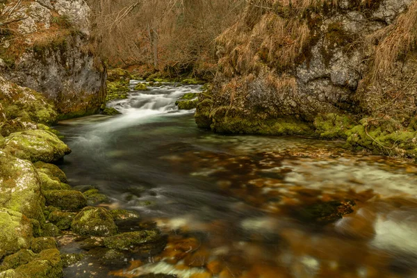 stock image Bohinj Bistrica waterfall and spring in north fresh Slovenia in nice spring forest