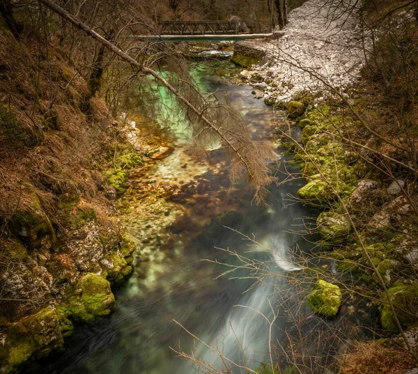ボヒンジビストリツァの滝と春の北の新鮮なスロベニアの素晴らしい春の森 — ストック写真