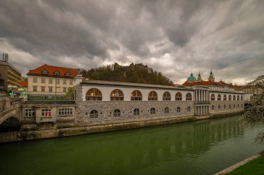 Başkent Ljubljana 'da bahar bulutlu bir günde yeşil kirli suyla Ljubljanica nehri