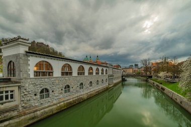 Başkent Ljubljana 'da bahar bulutlu bir günde yeşil kirli suyla Ljubljanica nehri