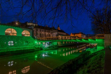Ljubljanica nehri yakınlarındaki genç ağaçlar ve renklerle ilkbahar sabahı manzarası