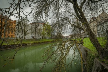 Başkent Ljubljana 'da bahar bulutlu gününde yeşil kirli suyla Ljubljanica Nehri