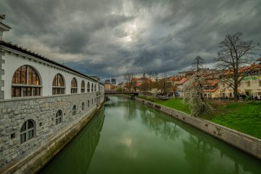 Başkent Ljubljana 'da bahar bulutlu gününde yeşil kirli suyla Ljubljanica Nehri