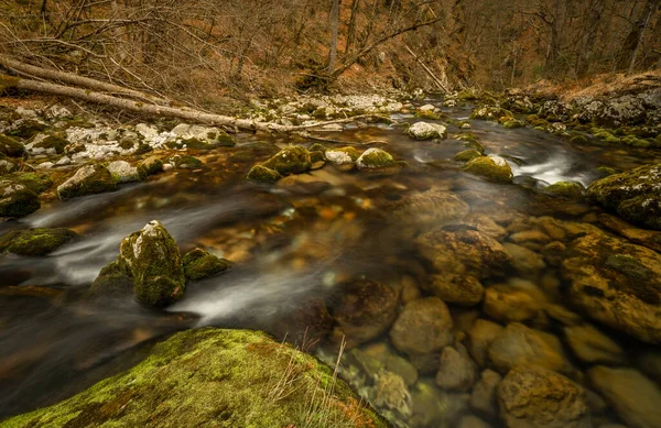Bohinj Bistrica Río Con Primavera Norte Eslovenia Fresca Bosque Primavera — Foto de Stock