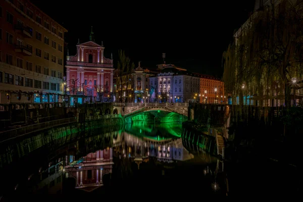 Kevään Aikainen Näkymä Nuoriin Puihin Väreihin Ljubljanica Joen Lähellä Ljubljanassa — kuvapankkivalokuva