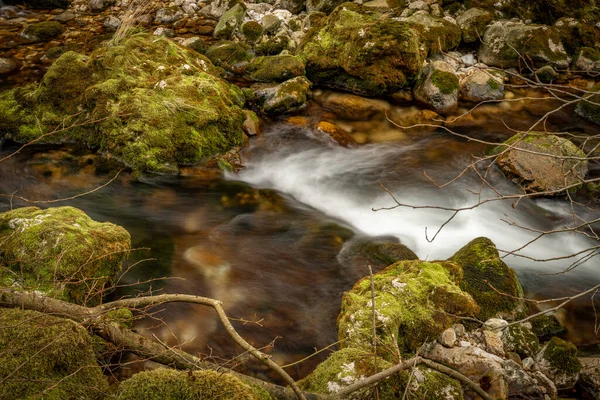 Bohinj Bistrica Ποταμός Την Άνοιξη Στη Βόρεια Φρέσκια Σλοβενία Στο — Φωτογραφία Αρχείου