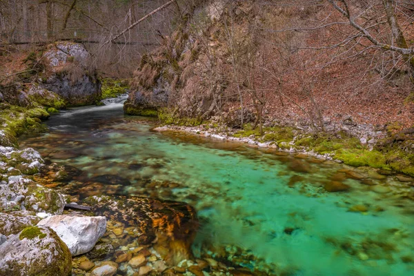 Bohinj Bistrica Vodopád Pramen Severu Svěží Slovinsko Pěkném Jarním Lese — Stock fotografie