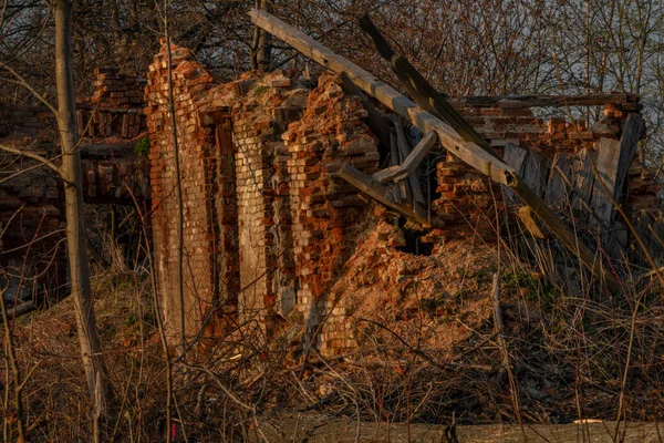 クルコノス島のヴィソク ジゼロウ町付近に黄色の花と茂みのある古い家の廃墟 — ストック写真