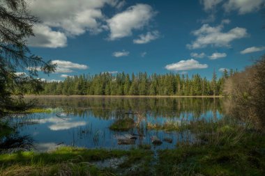 Slavkovsky les dağlarında, ilkbahar açık yeşil ormanında, mavi su göletinin yanındaki şömine.