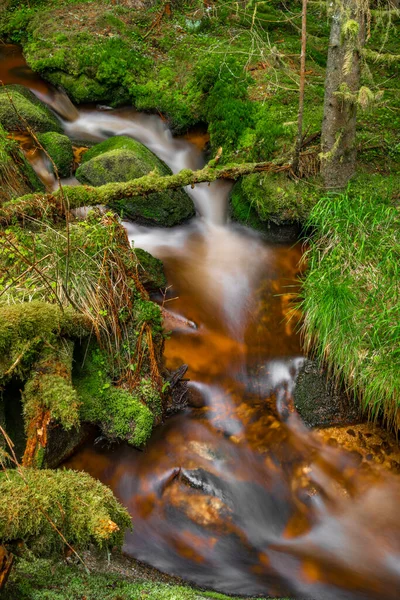Vattenfall Lesni Bäck Sumava Nationalpark Våren Fräsch Dag — Stockfoto