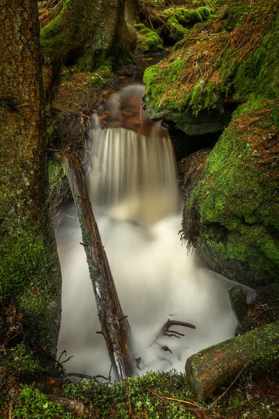 Cascata Sul Torrente Lesni Nel Parco Nazionale Sumava Primavera Giornata — Foto Stock