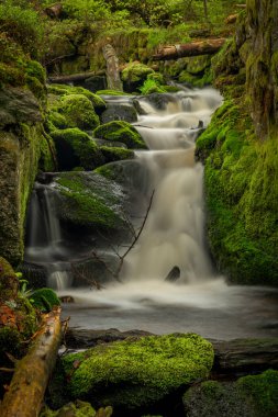 Bahar ışığında Konsky Deresi 'nde Şelale Bulutlu karanlık gökyüzü ile yeşil gün