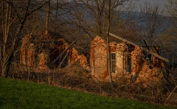 Ruine Eines Alten Hauses Mit Gelben Blumen Und Büschen Der — Stockfoto