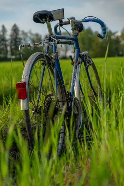 Vecchia Bicicletta Con Cellulare Molto Moderno Sul Manubrio Sul Prato — Foto Stock