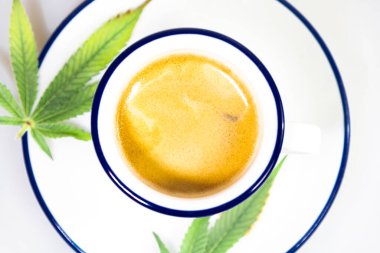 Mavi fincanda marihuana açık yeşil yaprak